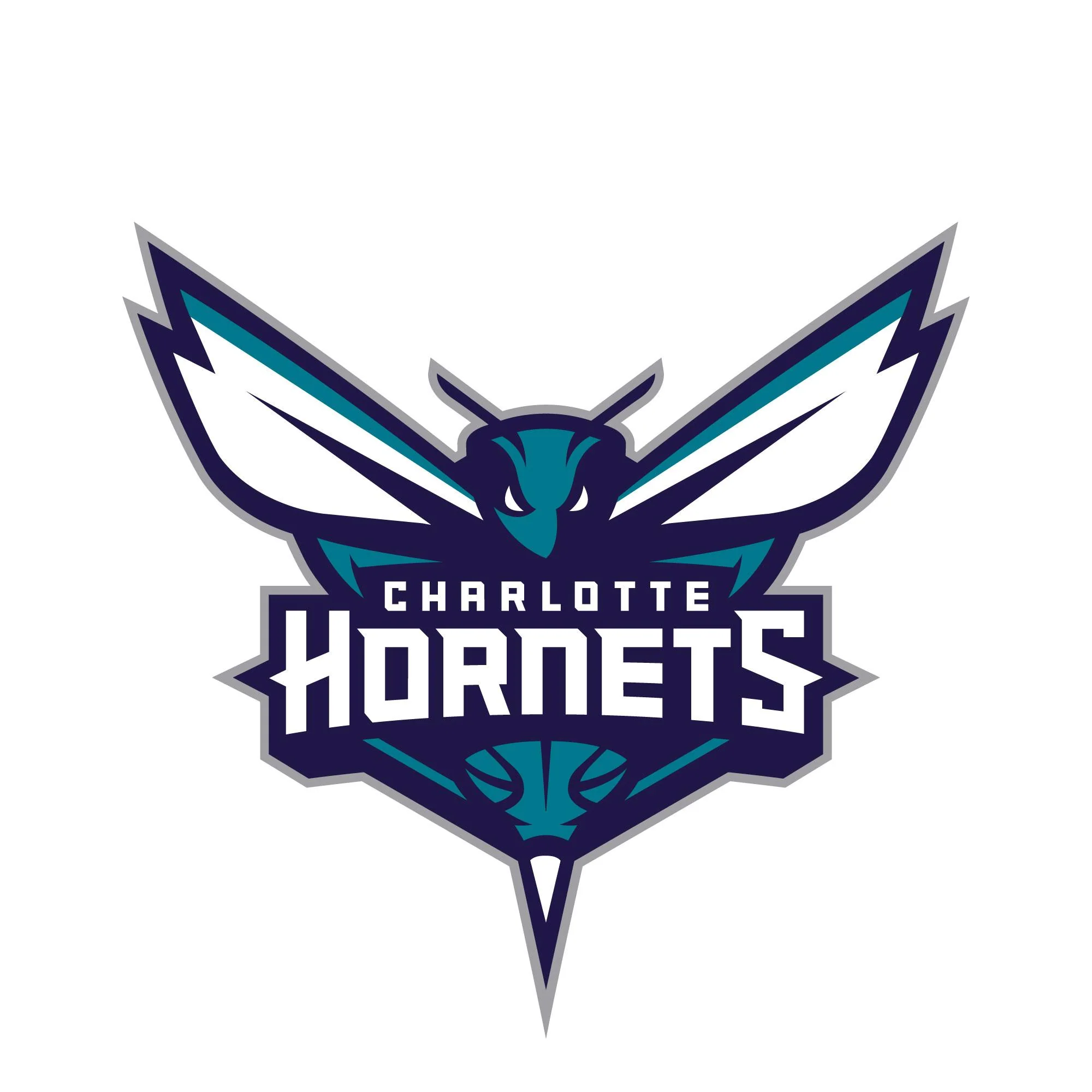 NBA x ION8, Isolierte Edelstahl, Charlotte Hornets, 750 ml - Image 8