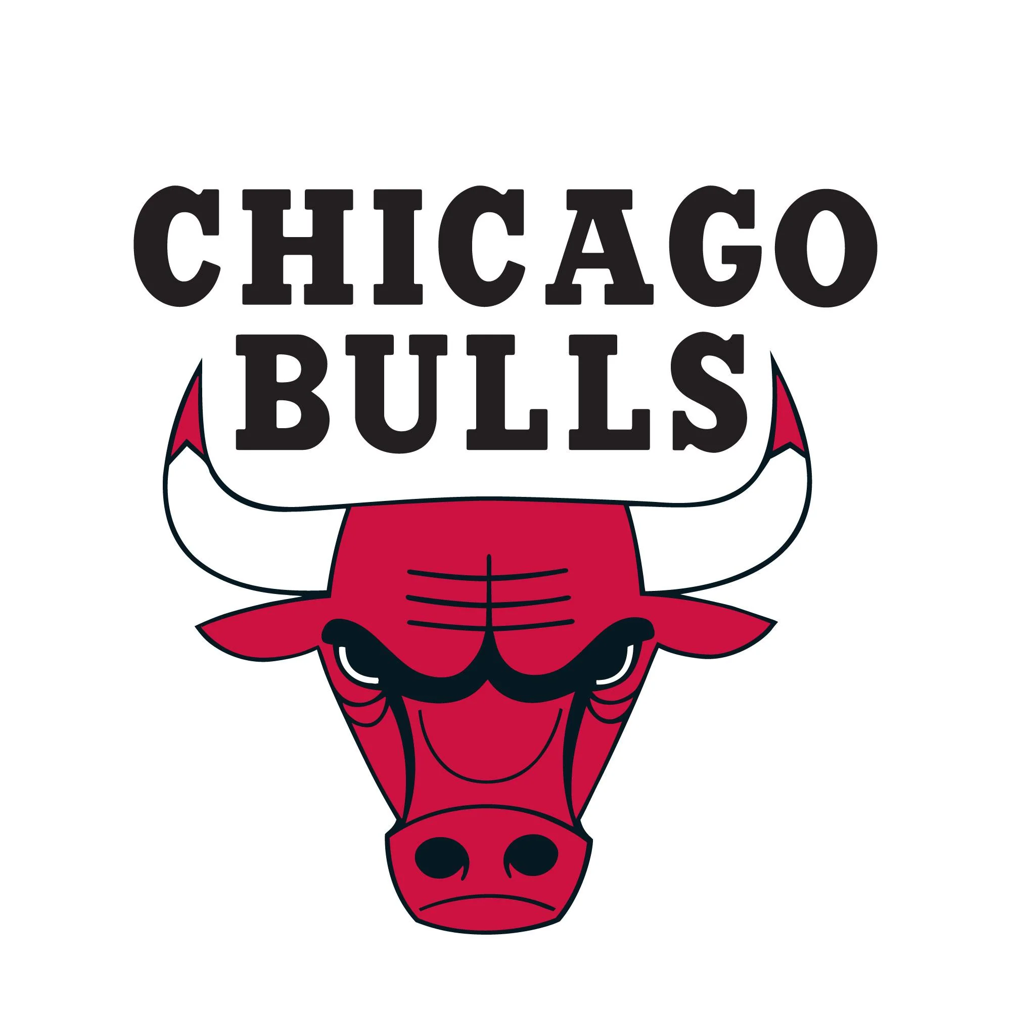 NBA x ION8, Isolierte Edelstahl, Chicago Bulls, 750 ml - Image 8