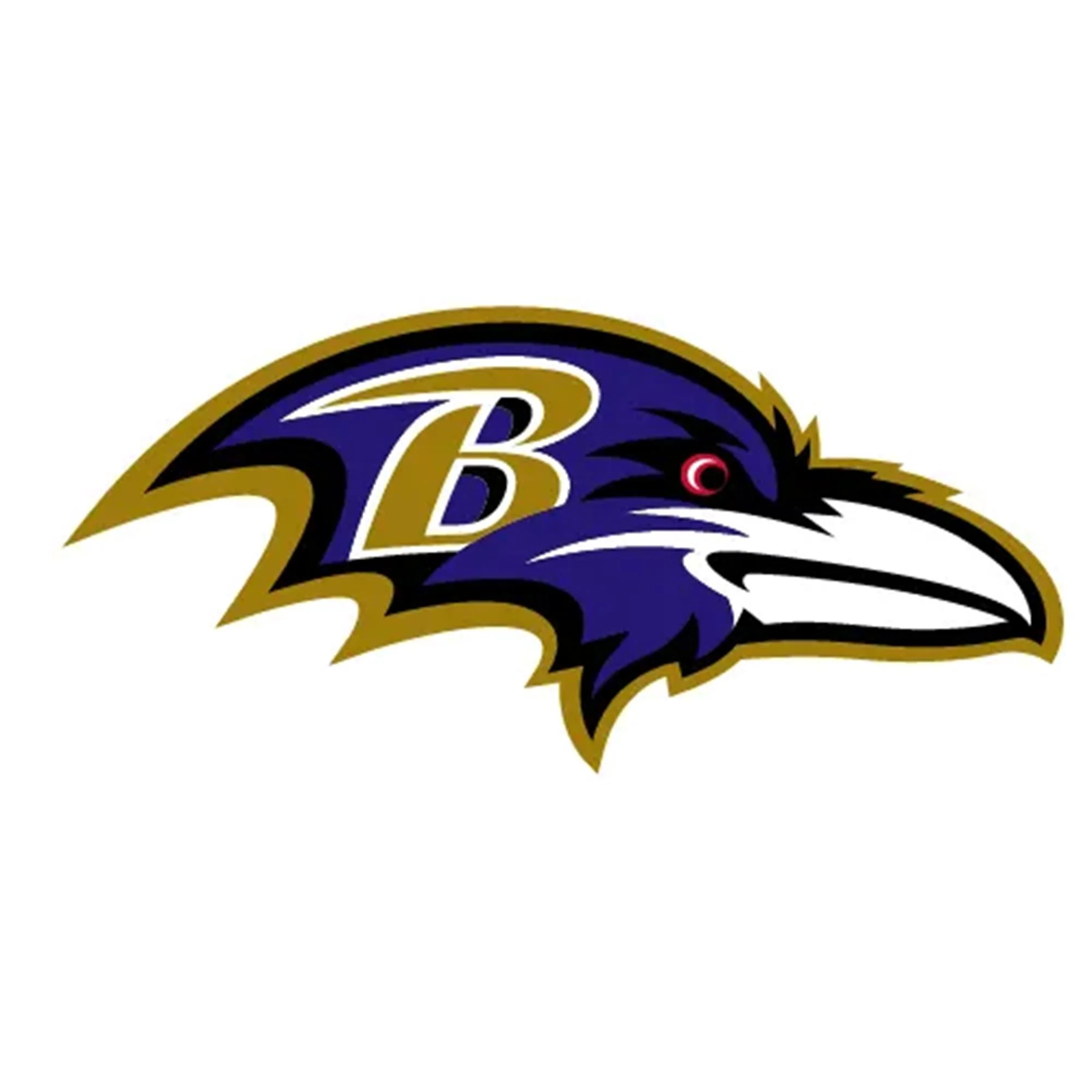 NFL x ION8, Isolierte Edelstahl, Ravens, 750 ml - Image 8