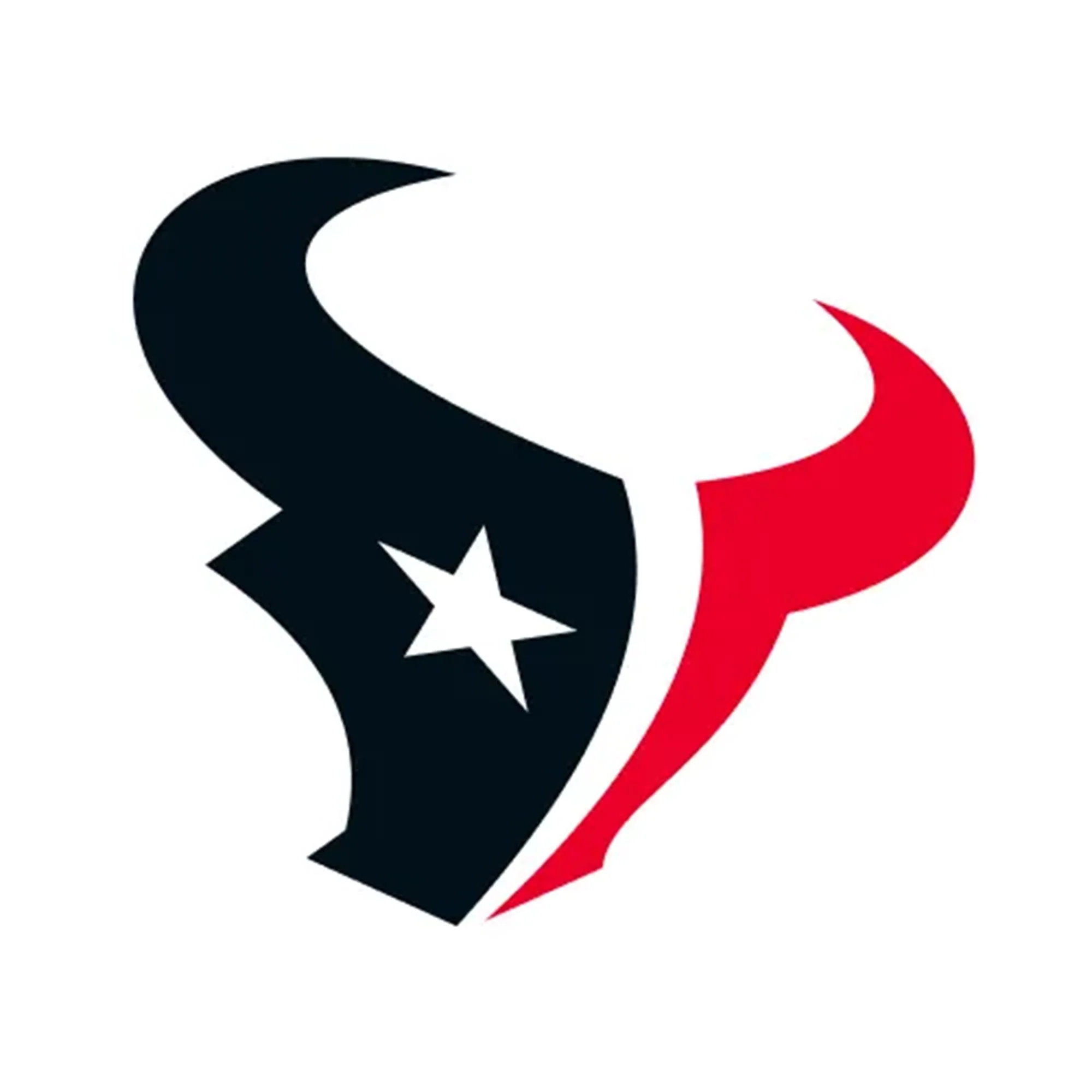 NFL x ION8, Isolierte Edelstahl, Texans, 750 ml - Image 8