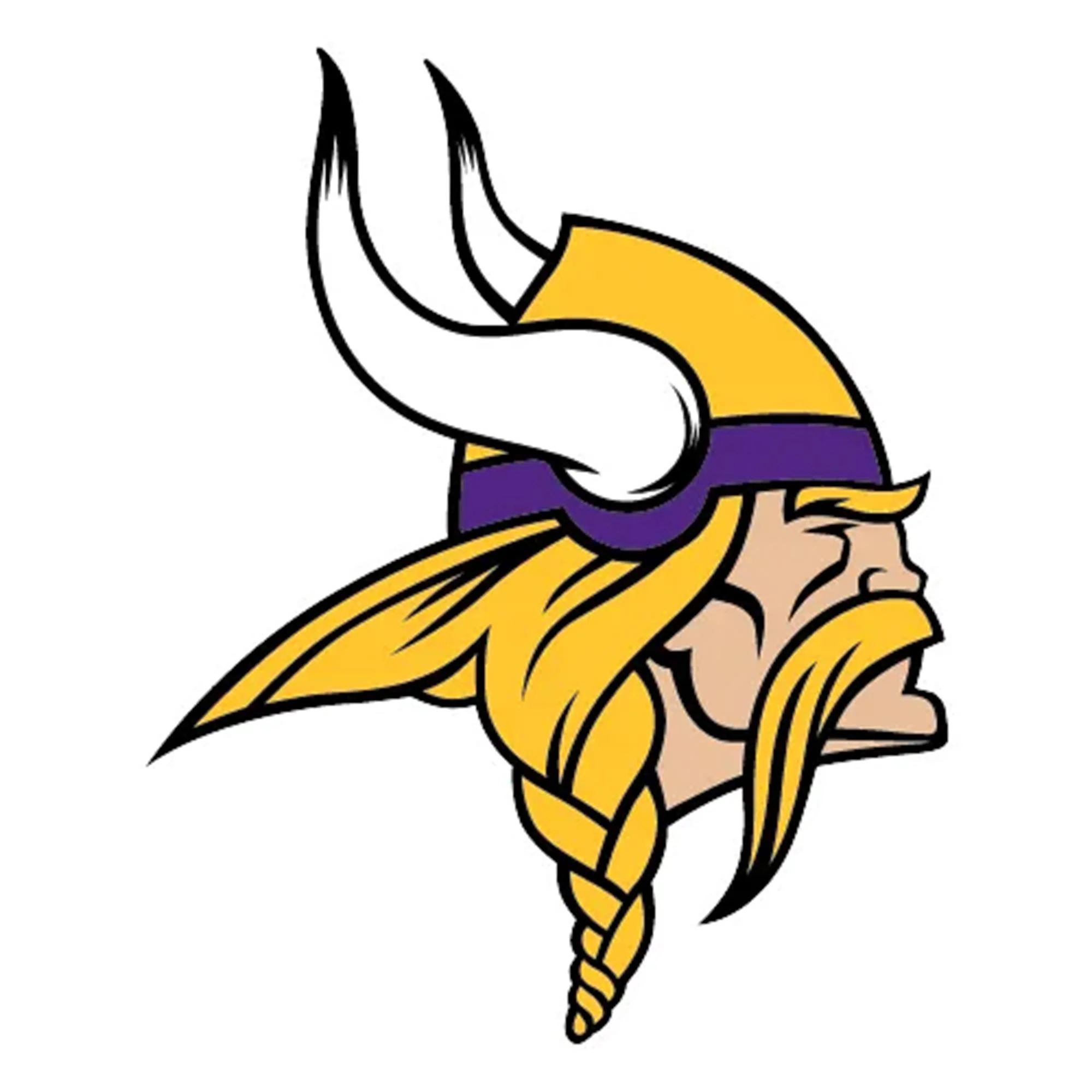 NFL x ION8, Isolierte Edelstahl, Vikings, 750 ml - Image 8