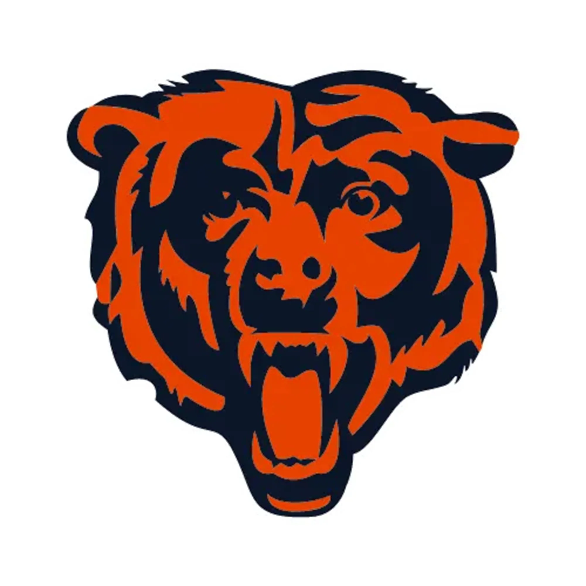NFL x ION8, Isolierte Edelstahl, Bears, 750 ml - Image 8