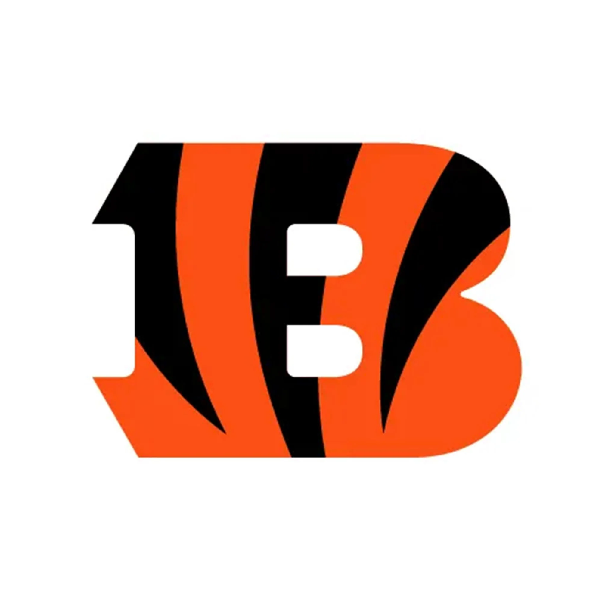 NFL x ION8, Isolierte Edelstahl, Bengals, 750 ml - Image 8