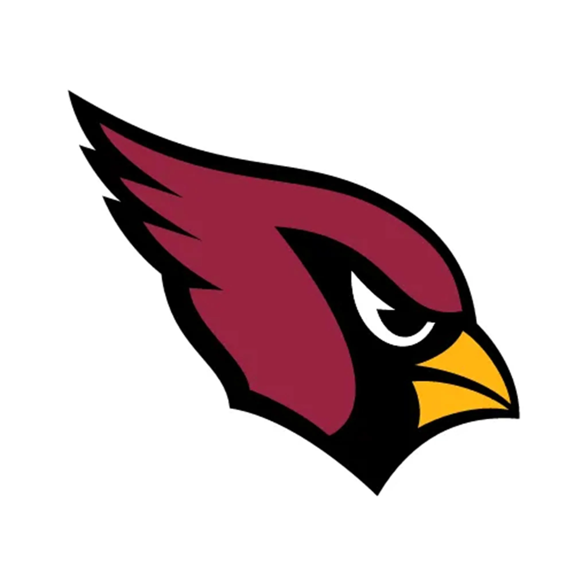 NFL x ION8, Isolierte Edelstahl, Cardinals, 750 ml - Image 8
