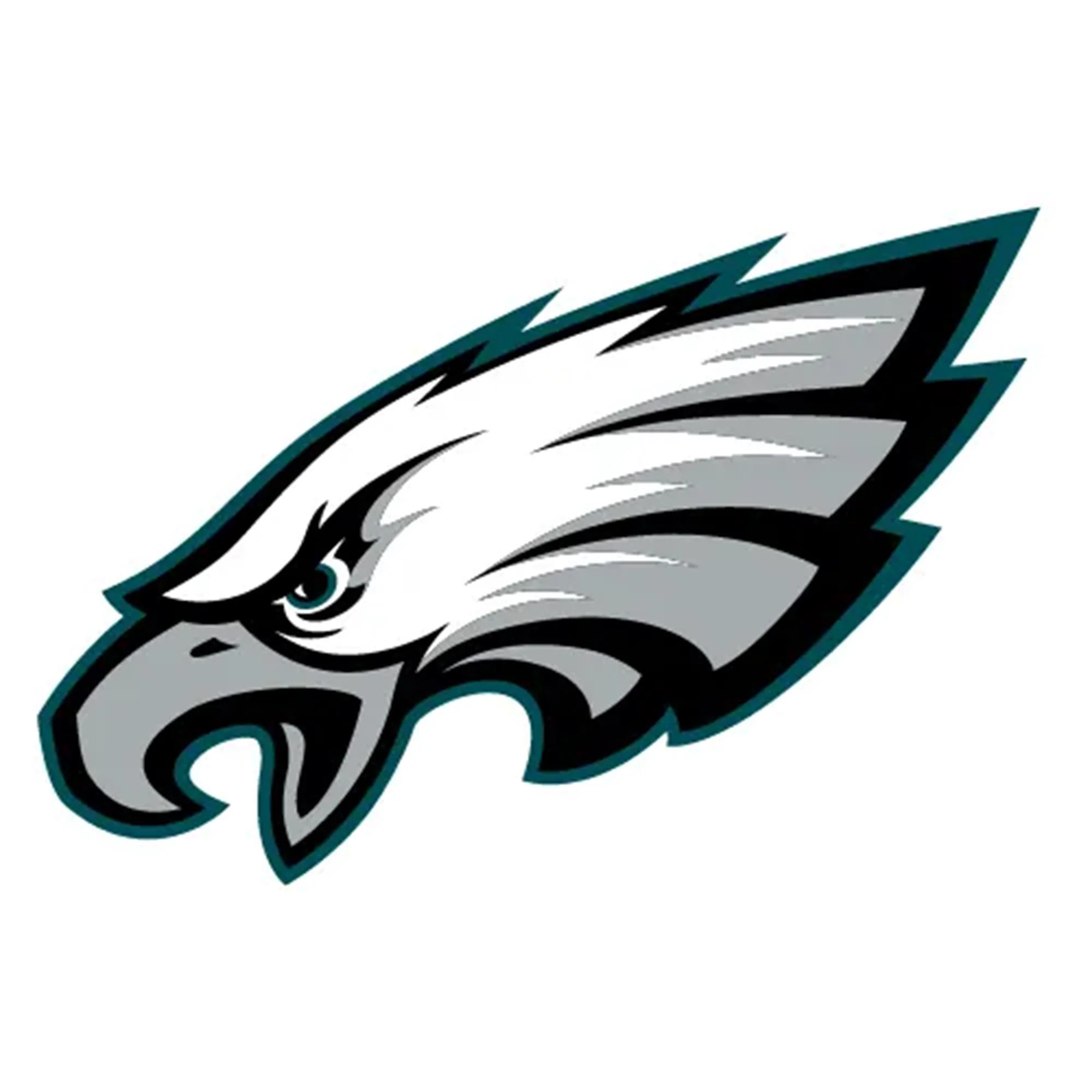 NFL x ION8, Isolierte Edelstahl, Eagles, 750 ml - Image 8