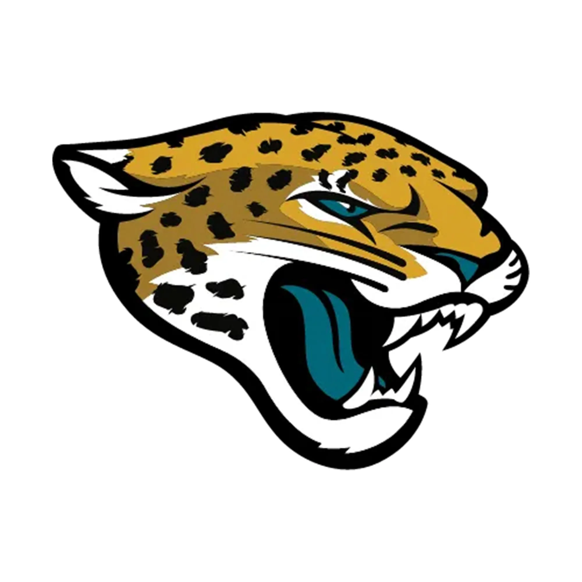 NFL x ION8, Isolierte Edelstahl, Jaguars, 750 ml - Image 8