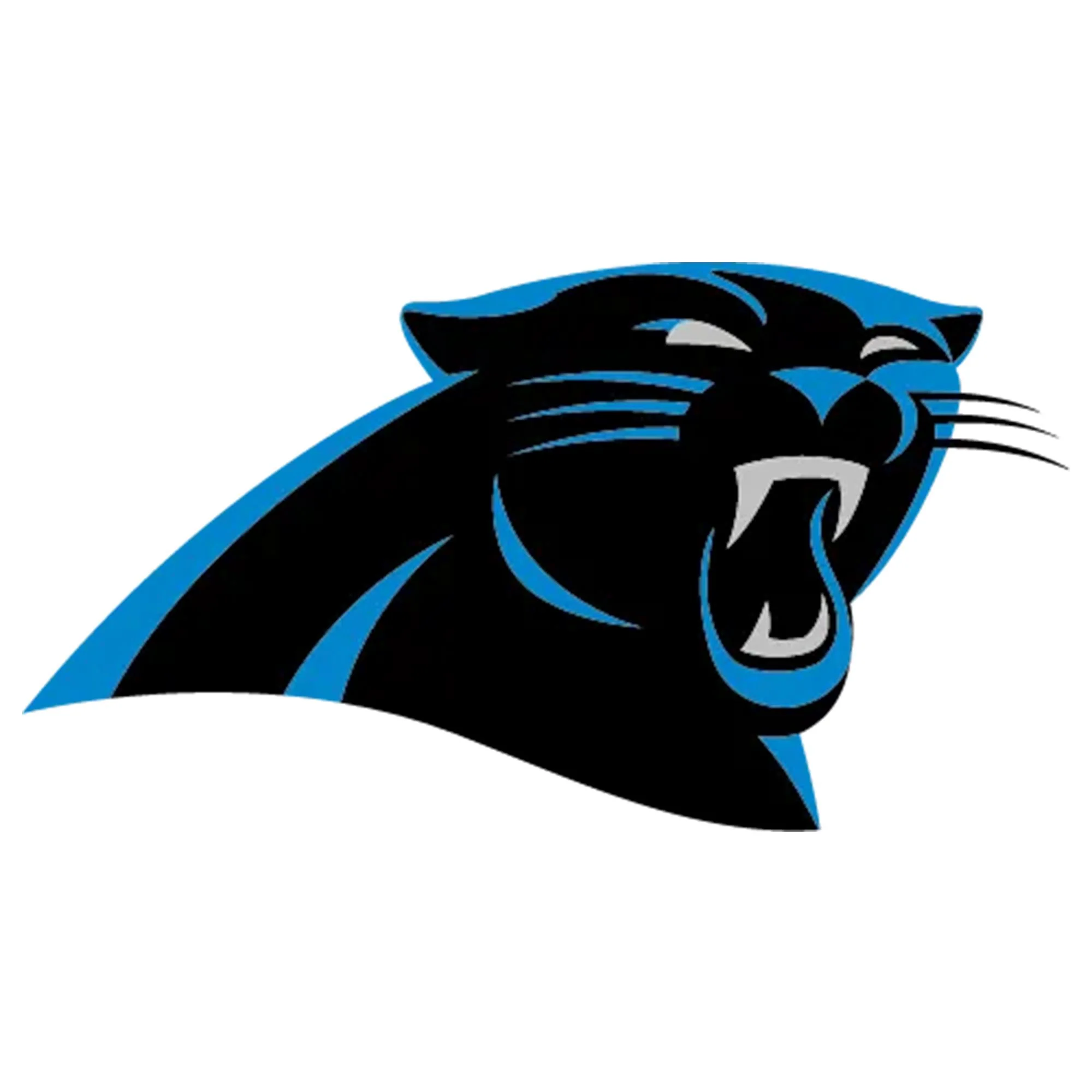 NFL x ION8, Isolierte Edelstahl, Panthers, 750 ml - Image 8