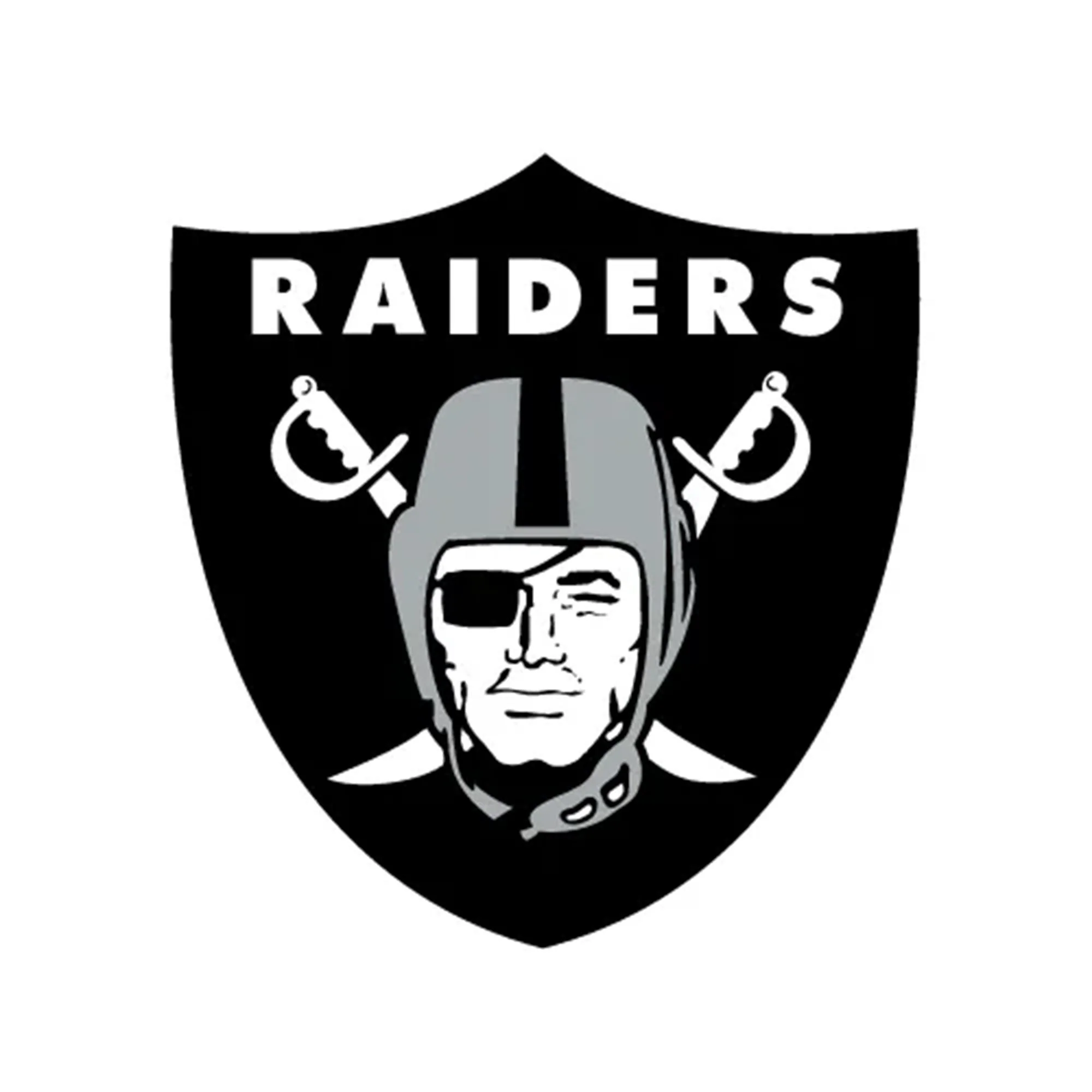 NFL x ION8, Isolierte Edelstahl, Raiders, 750 ml - Image 8